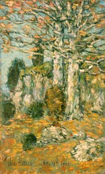 Trädlandskap