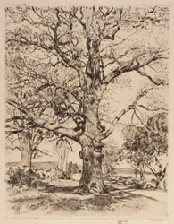 Wayside Inn Oaks på våren