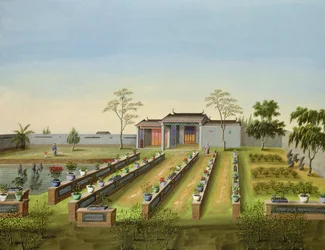Nursery Garden, c.1820-40 (wc på papper)