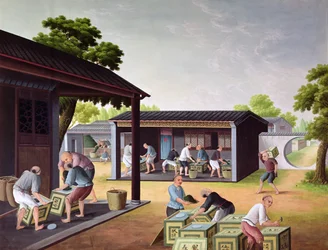 Packa te i lådor
