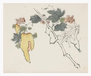 Tio bambuserier, 1700-tal