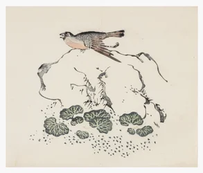 Tio bambuserier, 1700-tal