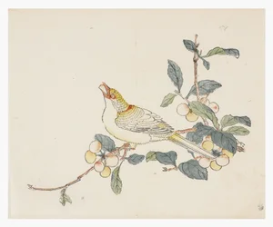 Tio bambuserier, 1700-tal