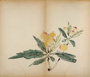Tio Bamboo Studio Prints, 1643 (träblock)