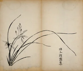 Tio Bamboo Studio Prints, 1643 (träblock)