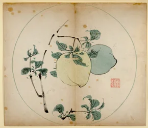 Tio Bamboo Studio Prints, 1643 (träblock)