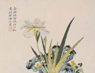 The Garden as Big as a Grain of Senap, 1600-1700-talet