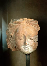 Huvudet av en stor Bodhisattva (terrakotta)