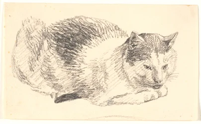 Liggande katt