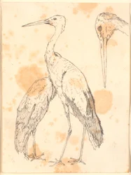 Storkar
