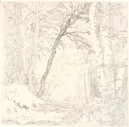 Vägen genom en skog
