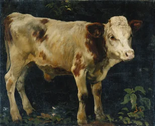 En tjurkalv, 1876