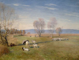 Landskap med får