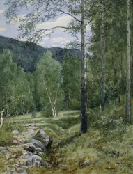 Vår i skogen (akvarell på papper)