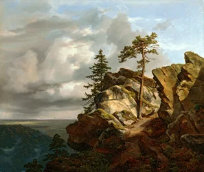 Harz landskap (Lüneburger Heide nära Harburg)