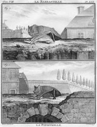 La Barbastelle & La Pipistrelle, c1763.