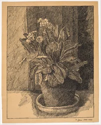 Örttpott med primula