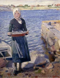 Solsken