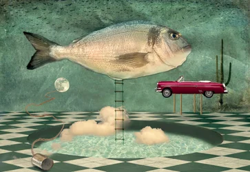 En surrealistisk fiskdrömvärld