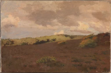 Heath landskap. Falla