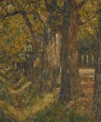 Belvedere Allee på midsommar