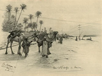 Kamelförare på Nilens strand i Aswan, Egypten, 1898.