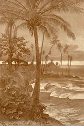 Stranden i Waikiki, Hawaii, 1898.