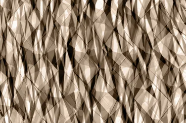 Abstrakt sepia-geometri