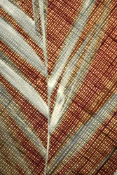 Lysande tropiskt blad