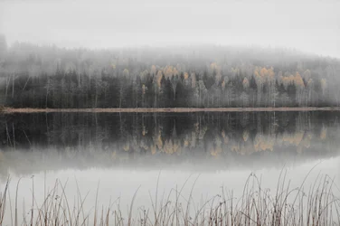 Dimhöljd höstsjö