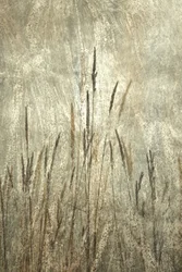 Rustika höga gräs