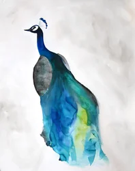 Elegant blå påfågel