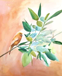 Orange Bird-filialen
