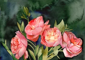 Rosa akvarellblommor
