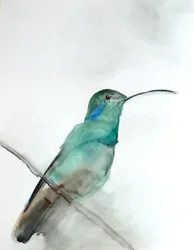 Akvarellmålning av en blågrön kolibri