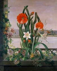 Stilleben med kaktus, liljor och passionsblommor på fönsterbrädan. Målning av Christine Marie Lovmand (1803-1872). Privat samling.