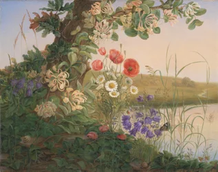 Blomma bit
