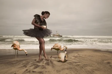 Ballerina och strandflamingor