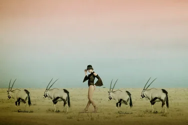 Ökenvandring med oryx
