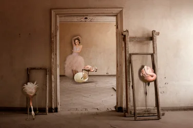Flamingo-balettdrömmen