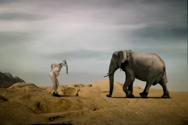 Ett surrealistiskt möte i öknen