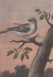 En fågel på en gren, (gouache), (se även 60075)