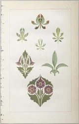 Konsten att dekorativ design: med en bilaga, som visar de timmar på dygnet då blommor öppnar, publicerad av Day & Son, London, 1862