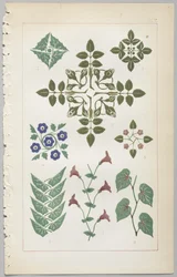 Konsten att dekorativ design: med en bilaga, som visar de timmar på dygnet då blommor öppnar, publicerad av Day & Son, London, 1862