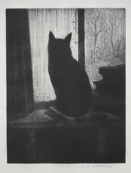 Katten