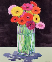 Gerberas (akvarell på papper)