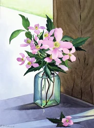 Stilleben Pink Clematis (akvarell på papper)