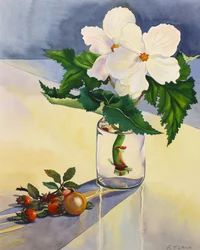 Vit Begonia och Nypon