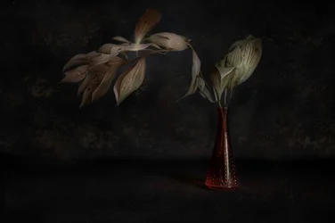 Mörkt botaniskt stilleben