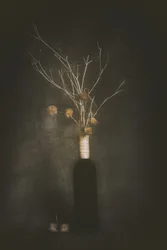 Mörk botanisk stillhet